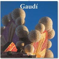 Gaudi - 2014 Wall Calendar