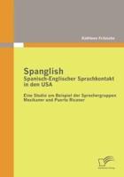 Spanglish: Spanisch-Englischer Sprachkontakt in den USA:Eine Studie am Beispiel der Sprechergruppen Mexikaner und Puerto Ricaner
