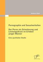 Pornographie und Sexualverhalten: Der Porno als Orientierung und Leistungsdruck im Erleben junger Männer:Eine qualitative Studie