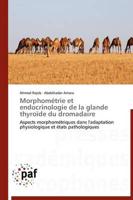 Morphométrie et endocrinologie de la glande thyroïde du dromadaire