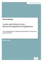 Lernen und Arbeiten in der Internet-Übungsfirma YoungBusiness:Eine sozialpädagogische Qualifizierungsmaßnahme für arbeitslose junge Erwachsene