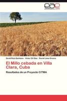El Millo Cebada En Villa Clara, Cuba