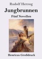 Jungbrunnen (Großdruck):Fünf Novellen