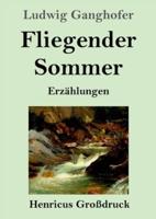 Fliegender Sommer (Großdruck):Erzählungen