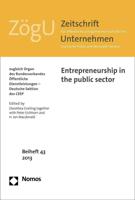 Entrepreneurship in the Public Sector