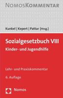 Sozialgesetzbuch VIII