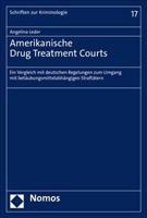 Amerikanische Drug Treatment Courts