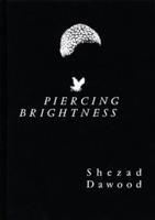 Piercing Brightness - Shezad Dawood