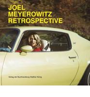 Joel Meyerowitz Retrospective
