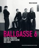 Ballgasse 6 Galerie Pakesch