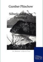 Silberkondor über Feuerland