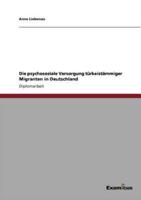 Die psychosoziale Versorgung türkeistämmiger Migranten in Deutschland