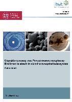 Charakterisierung von Pseudomonas aeruginosa-Biofilmen in einem in vitro-Harnwegskathetersystem