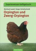 Orpington und Zwerg-Orpington