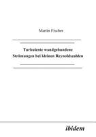 Turbulente wandgebundene Strömungen bei kleinen Reynoldszahlen.