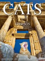 Die Katzen Von Ephesos