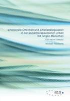 Emotionale Offenheit und Emotionsregulation in der sozialtherapeutischen Arbeit mit jungen Menschen
