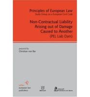 Non-contractual Liability Arising Out of Damage Caused to Another