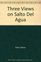 Vidokle Anton & Manzutto Cristian - Three Views on Salto Del Agua