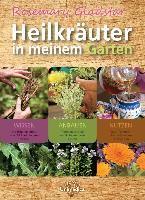 Heilkräuter in meinem Garten