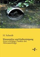 Wasserpilze und Kalkreinigung:Zwei wichtige Punkte der Abwasserfrage