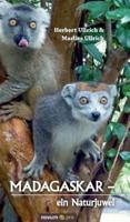 MADAGASKAR  -  ein Naturjuwel