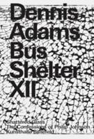 Dennis Adams - Bus Shelter XII
