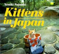 Kittens in Japan