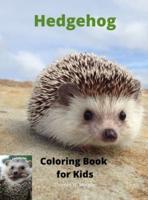 Hedgehog Coloring Book for Kids
