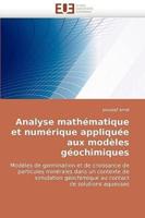 Analyse Mathematique Et Numerique Appliquee Aux Modeles Geochimiques