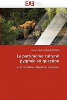 Le patrimoine culturel pygmée en question