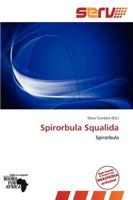 Spirorbula Squalida