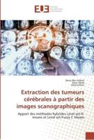 Extraction des tumeurs cérébrales à partir des images scanographiques