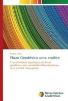 Fluxo Geodésico uma análise