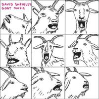 David Shrigley: Goat Music