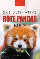 Rote Pandas Das Ultimative Buch