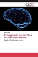 El desarrollo del cerebro en el Homo sapiens