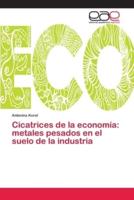 Cicatrices de la economía: metales pesados en el suelo de la industria