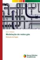 Modelação de redes gás