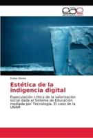 Estética de la indigencia digital