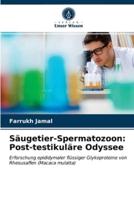 Säugetier-Spermatozoon: Post-testikuläre Odyssee