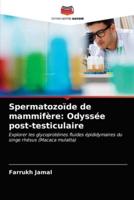 Spermatozoïde de mammifère: Odyssée post-testiculaire