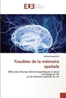 Troubles De La Mémoire Spatiale