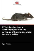 Effet des facteurs anthropiques sur les niveaux d'hormones chez les rats mâles