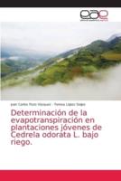 Determinación de la evapotranspiración en plantaciones jóvenes de Cedrela odorata L. bajo riego.