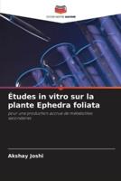 Études in vitro sur la plante Ephedra foliata