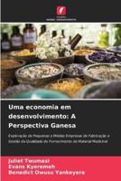 Uma economia em desenvolvimento: A Perspectiva Ganesa