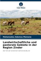 Landwirtschaftliche und pastorale Gebiete in der Region Zinder