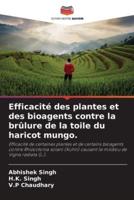 Efficacité Des Plantes Et Des Bioagents Contre La Brûlure De La Toile Du Haricot Mungo.
