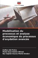 Modélisation Du Processus Et Analyse Économique Du Processus D'oxydation Avancée